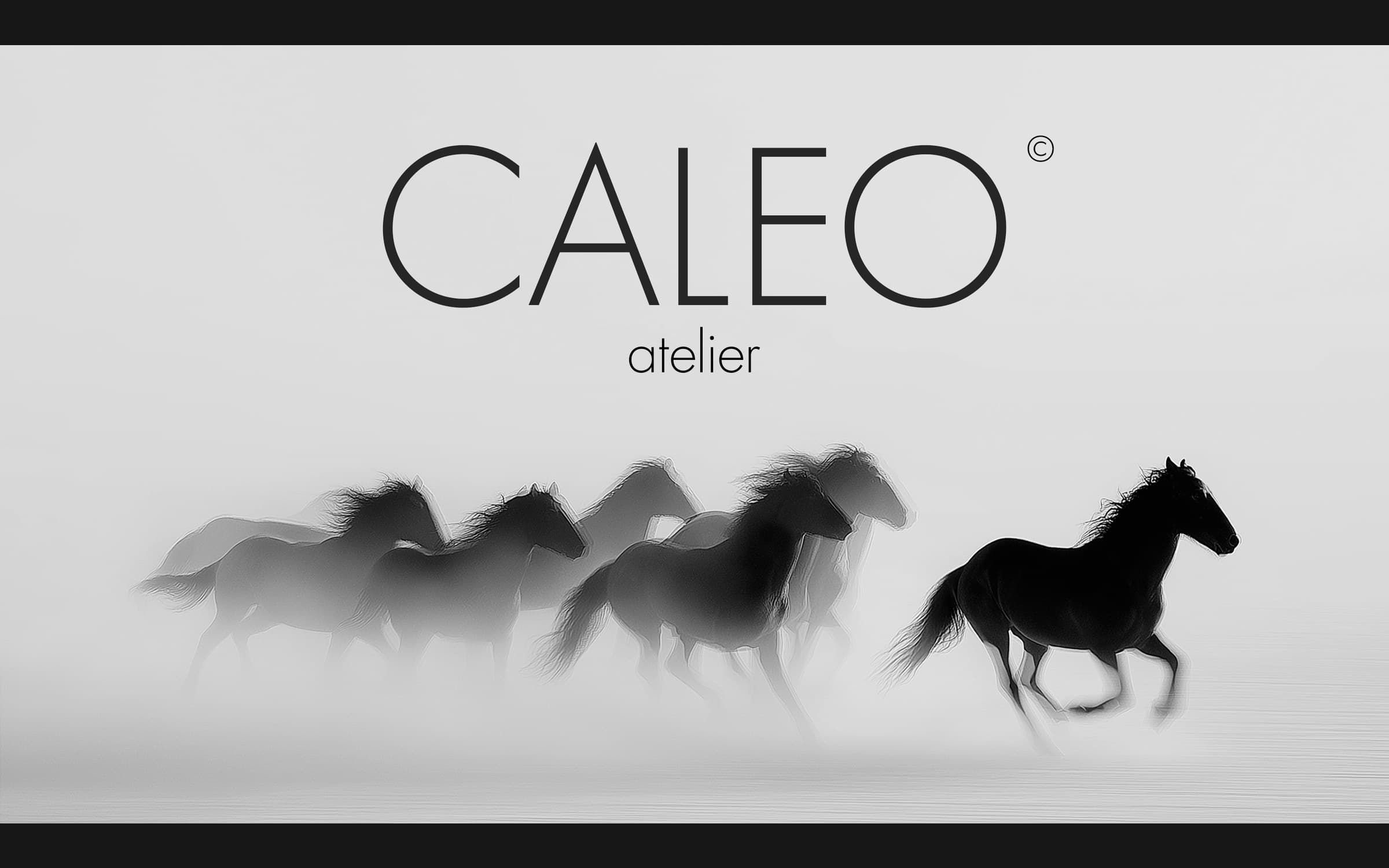CALEO atelier wordmark in black above a herd of dark horses galloping through white mist