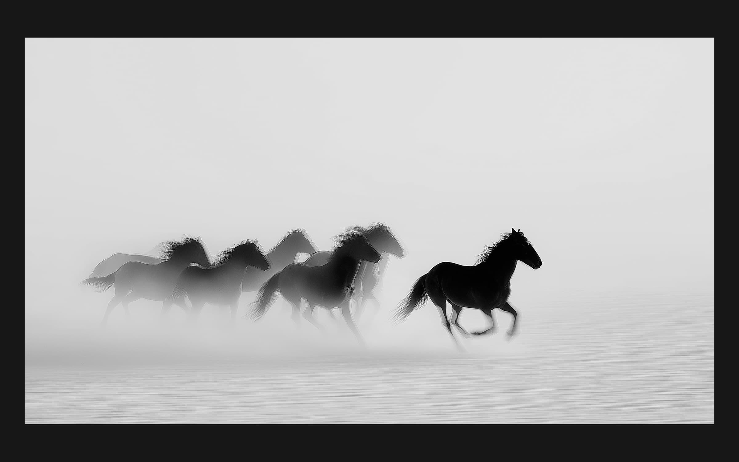 Black and white image of horses galloping through mist, the imagery behind the brand