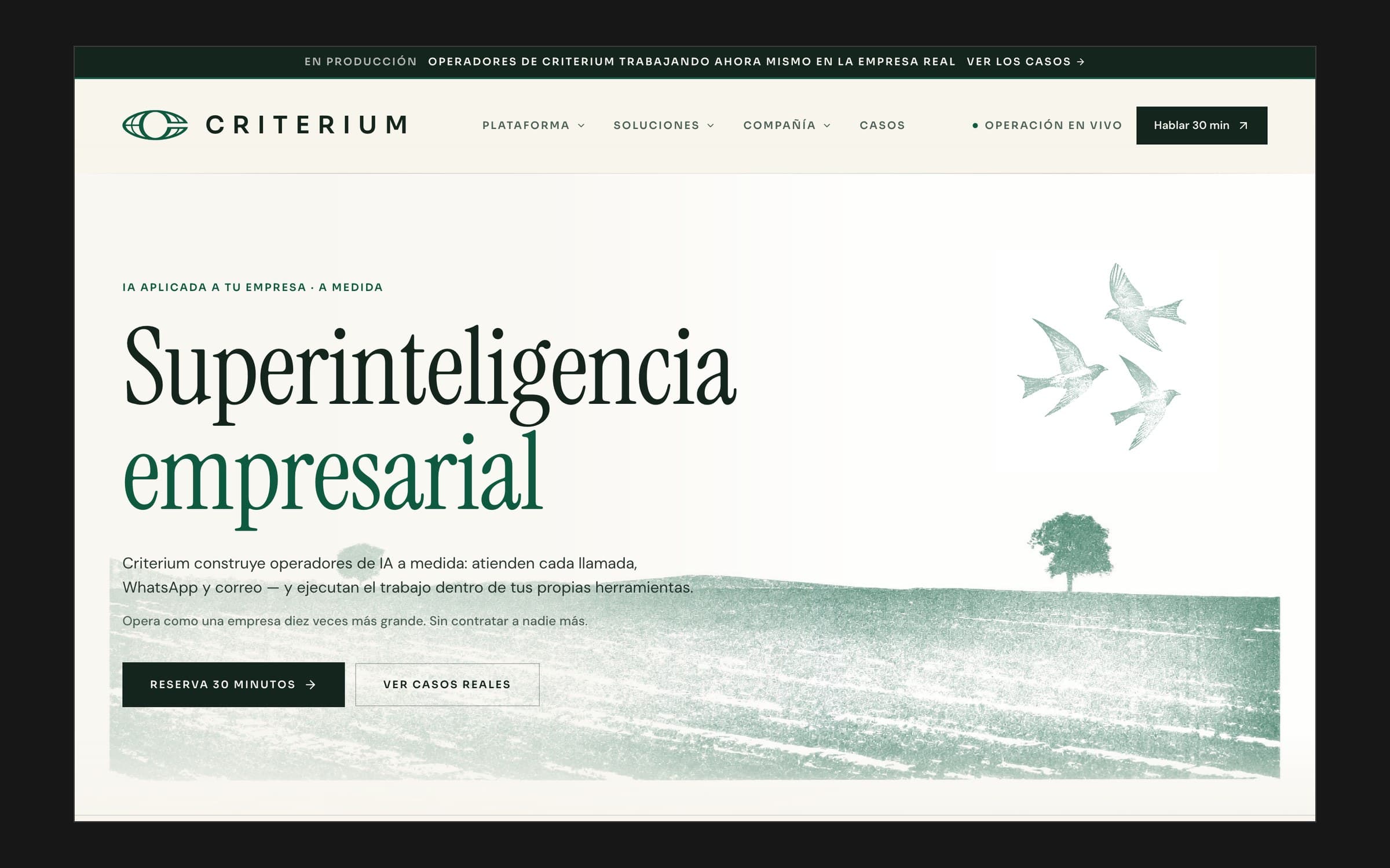Criterium homepage on desktop with the headline Superinteligencia empresarial over a green engraved landscape