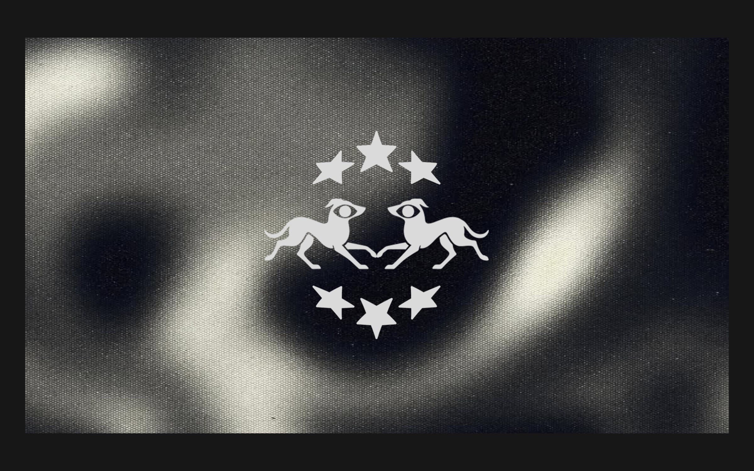 Light grey gazehounds crest over a grainy black and white abstract background, the cover of the brand manual